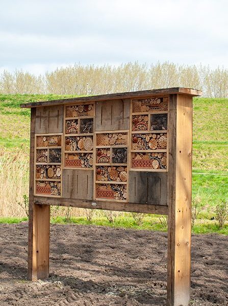 Insectenhotel in Rotterdam