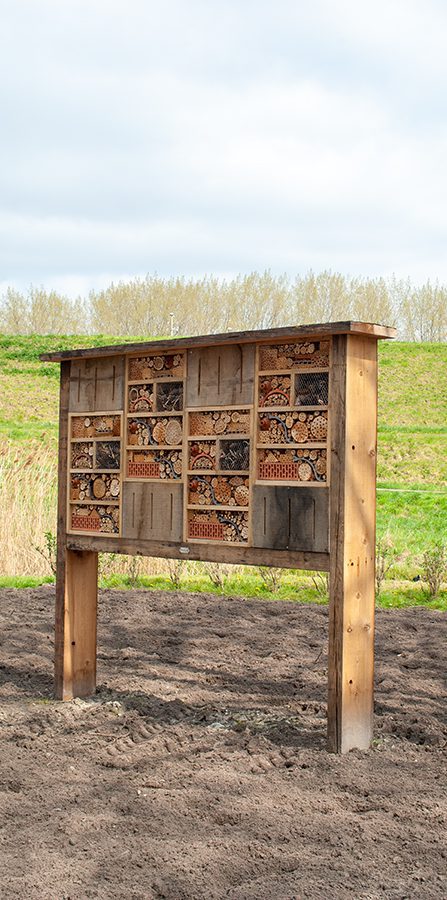 Insectenhotel in Rotterdam