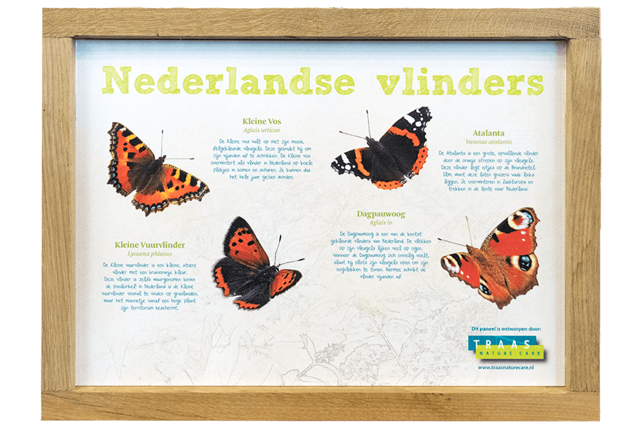 Informatiebord over Nederlandse vlinders