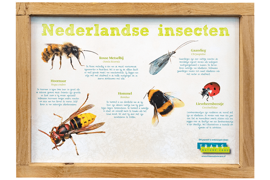 Nederlandse insecten informatie bord