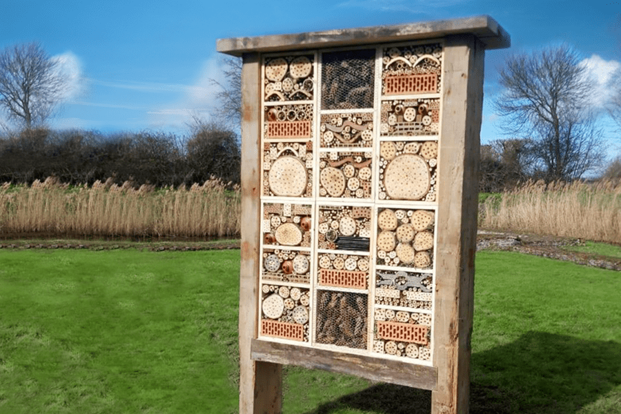 Insecten hotel