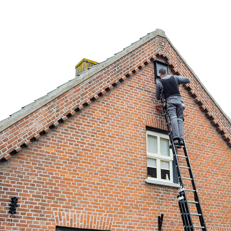 Vleermuis isolatie in huis