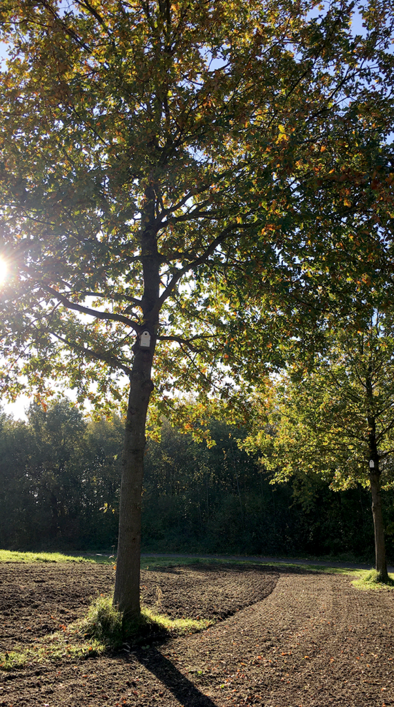 Vogelhuis aan boom